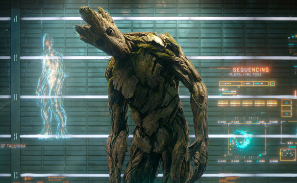 Groot
Special to The Chronicle